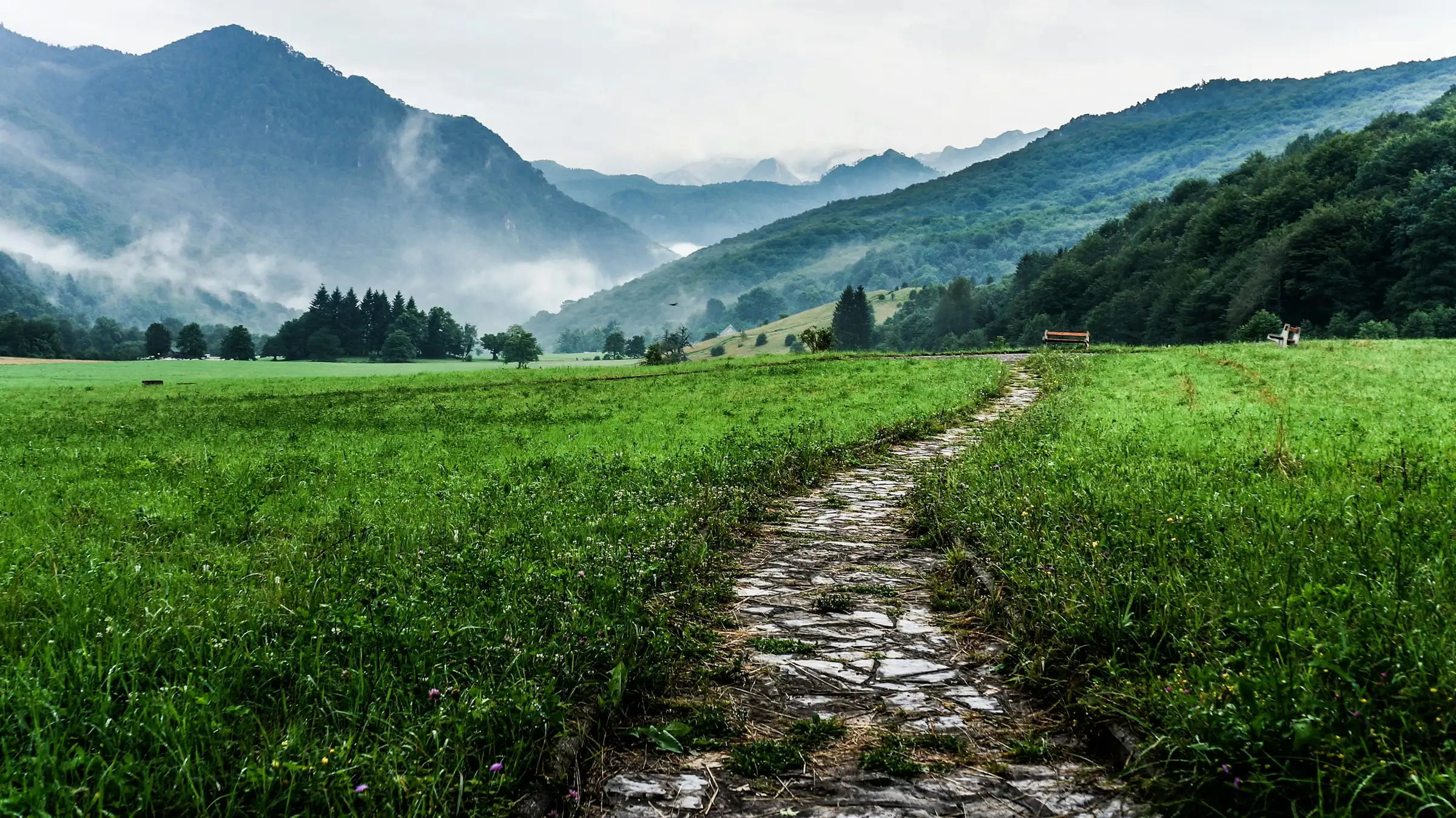 A Path